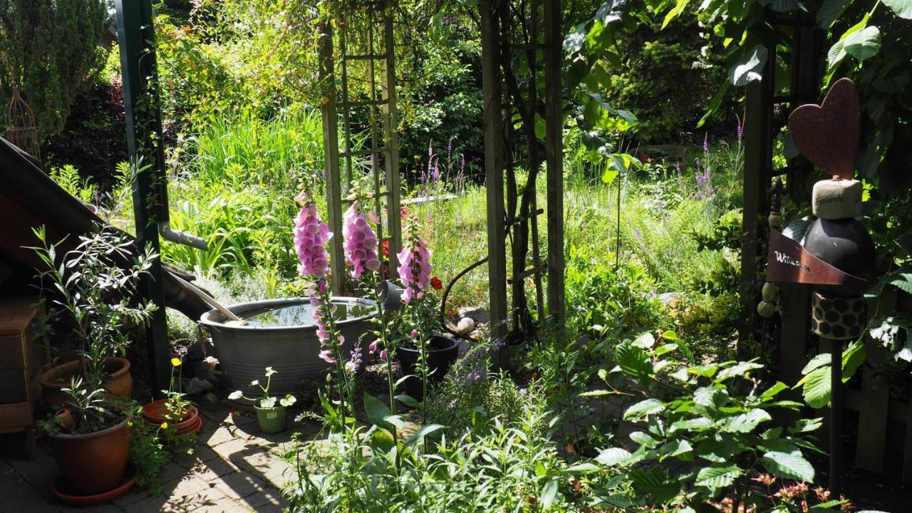 Urlaub Im Naturgarten Apartment Bergneustadt Exterior foto